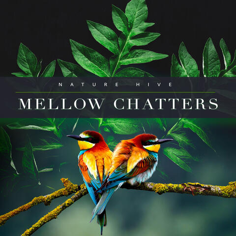 Mellow Chatters album art