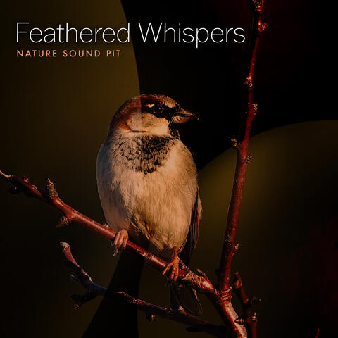 Feathered Whispers album art