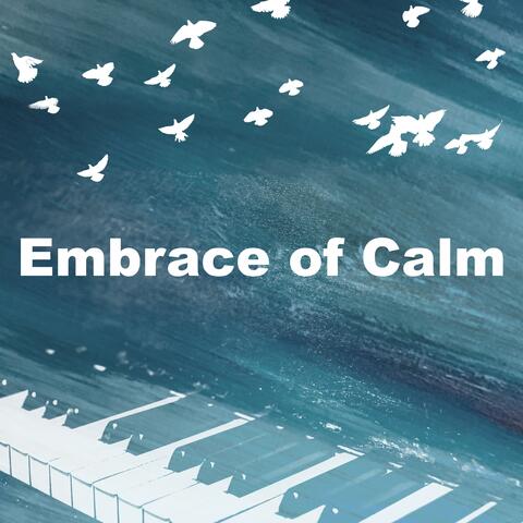 Embrace of Calm album art