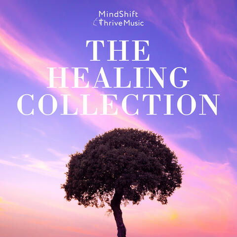 The Healing Collection album art