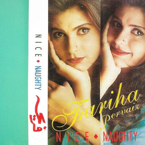 Nice & Naughty album art