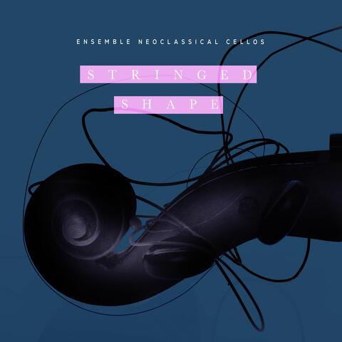 Stringed Shape album art