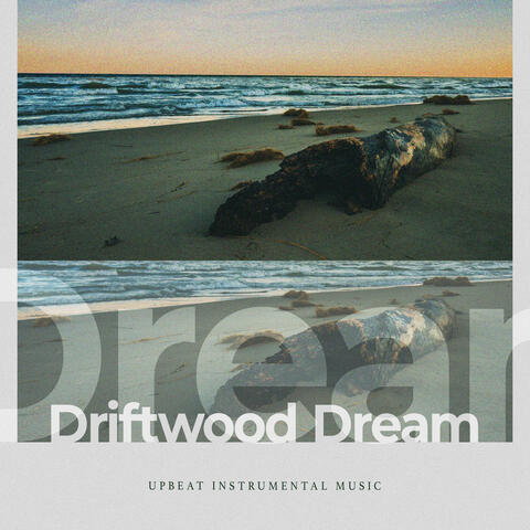 Driftwood Dream album art