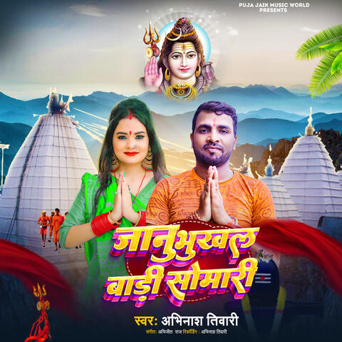 Janu Bhukhal Badi Somari album art