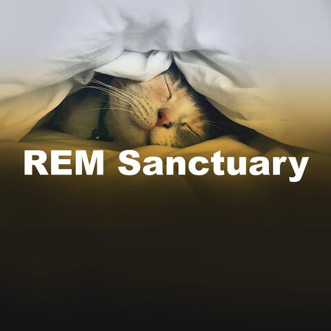 REM Sanctuary album art