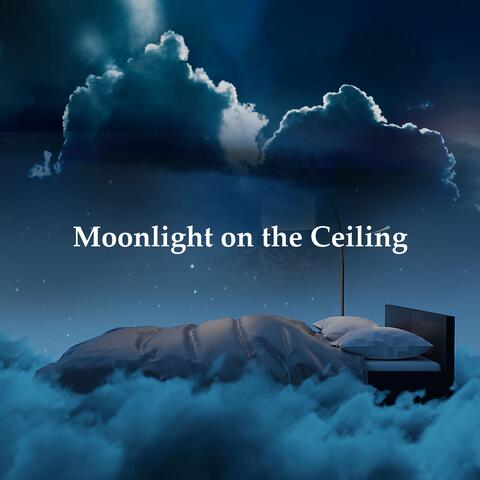 Moonlight on the Ceiling album art