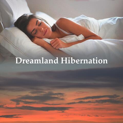 Dreamland Hibernation album art
