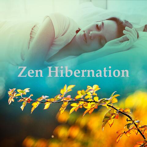 Zen Hibernation album art
