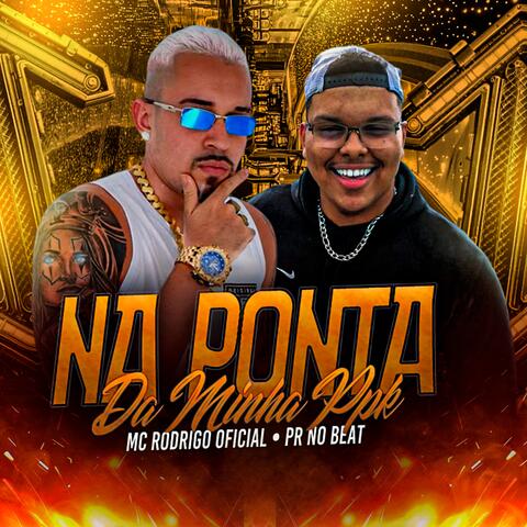 Na Ponta da Minha PPK album art