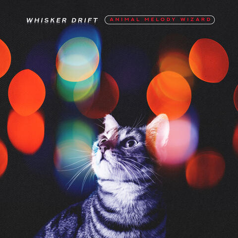 Whisker Drift album art
