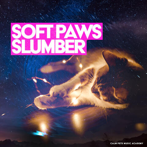 Soft Paws Slumber album art