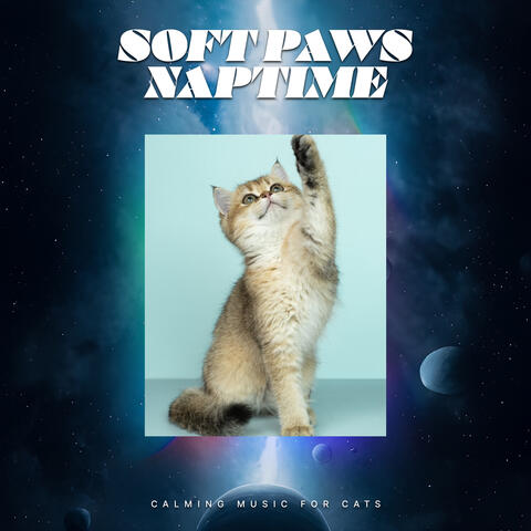 Soft Paws Naptime album art