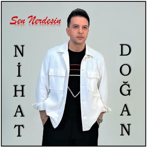 SEN NERDESİN album art