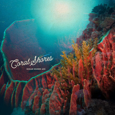 Coral Shores album art