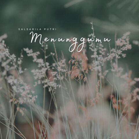 Menunggumu album art