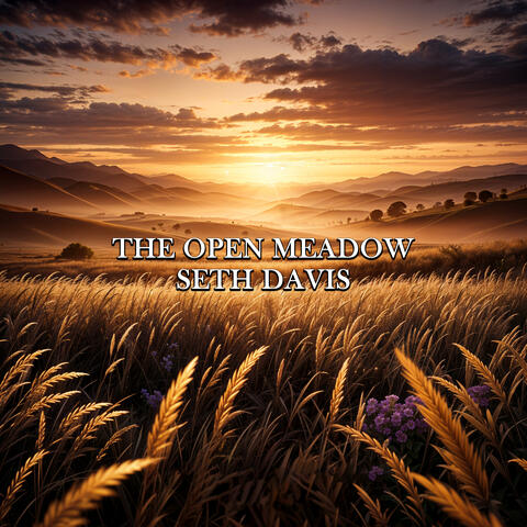 The Open Meadow album art