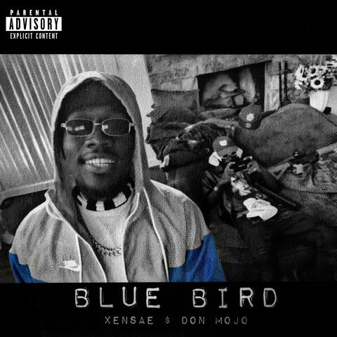 Blue Bird album art
