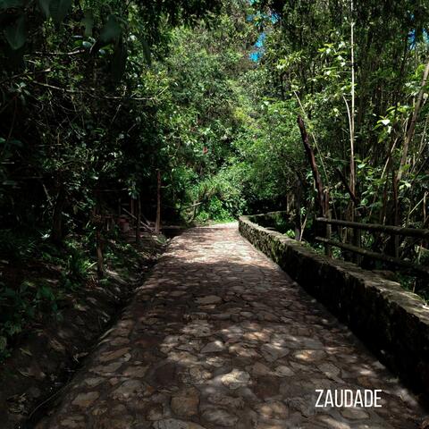 ZAUDADE00 album art