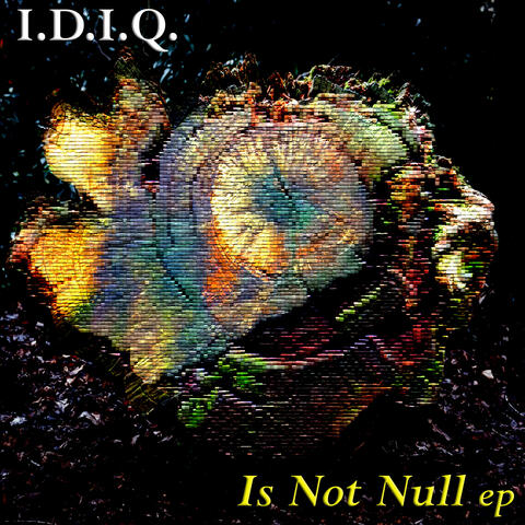 Is Not Null ep album art
