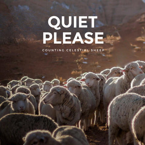 Counting Celestial Sheep album art