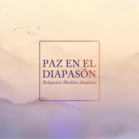 Paz en el diapasón album art