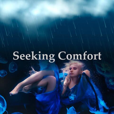Seeking Comfort album art