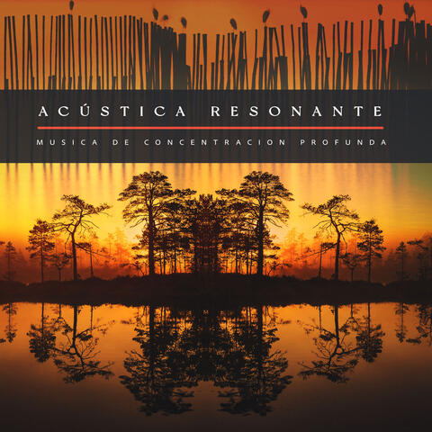 Acústica resonante album art