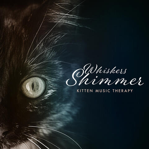 Whiskers Shimmer album art