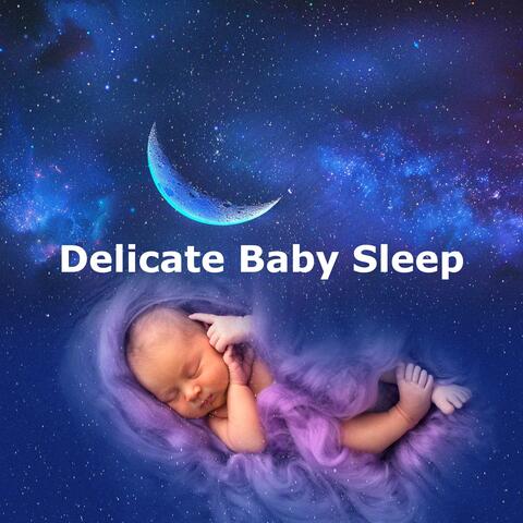 Delicate Baby Sleep album art