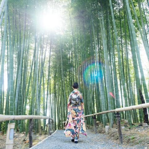 Kotae No Nai Kotoba album art
