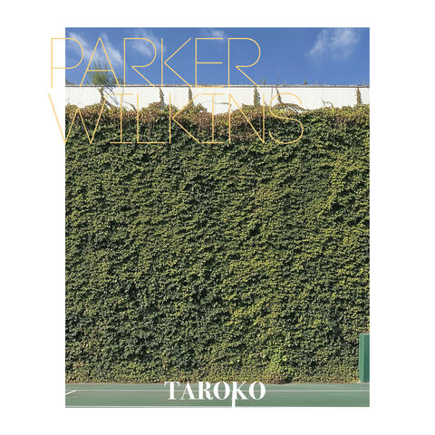 Taroko album art