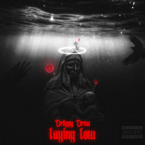 Laying Low album art