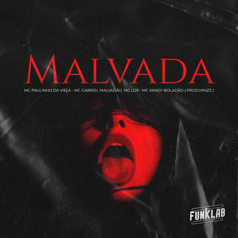 Malvada album art