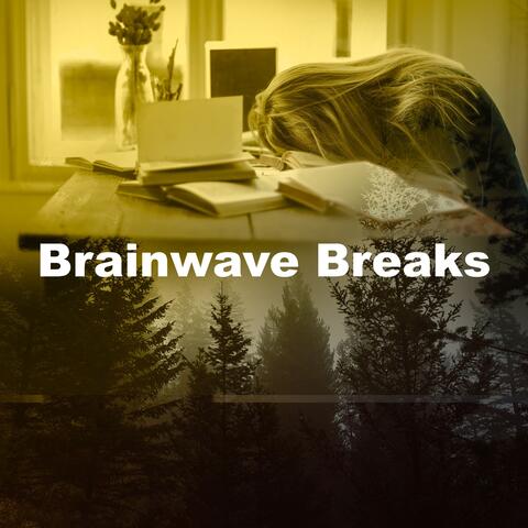 Brainwave Breaks album art