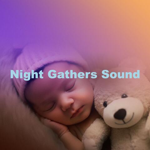 Night Gathers Sound album art