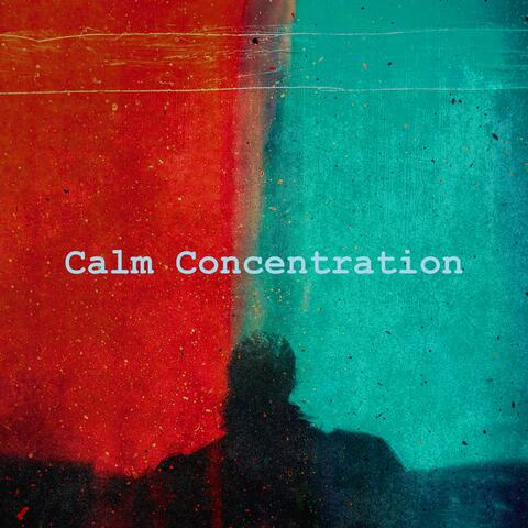 Calm Concentration album art