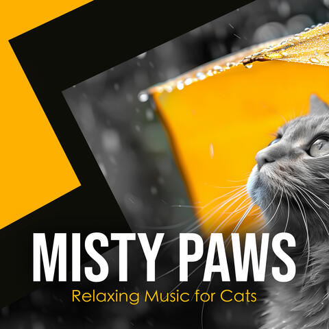 Misty Paws album art