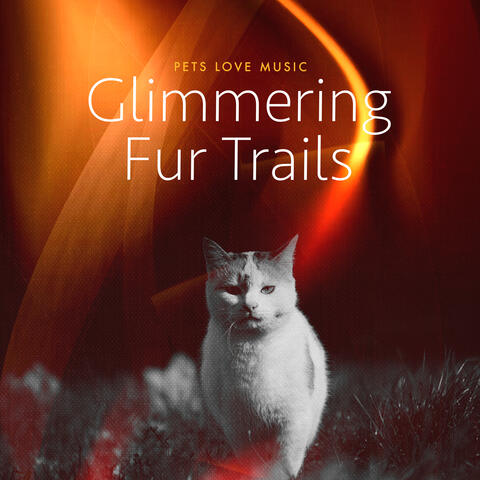 Glimmering Fur Trails album art