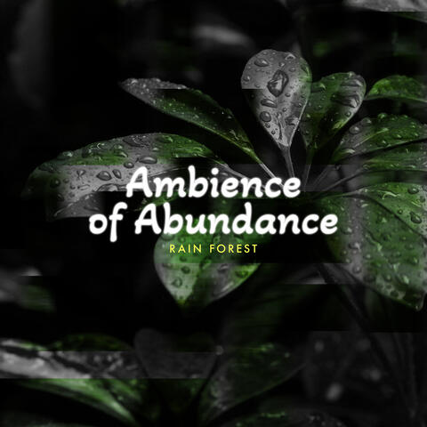 Ambience of Abundance album art