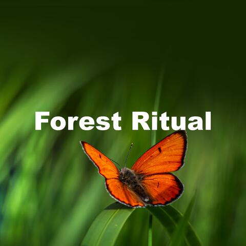 Forest Ritual album art
