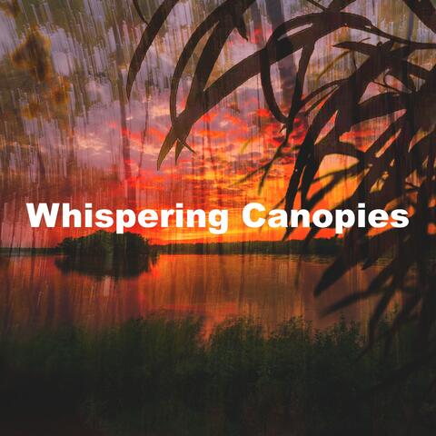 Whispering Canopies album art