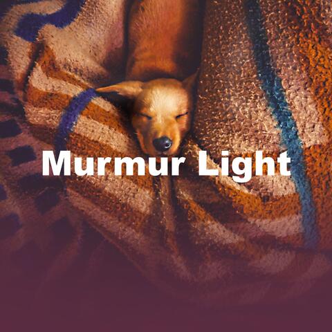 Murmur Light album art