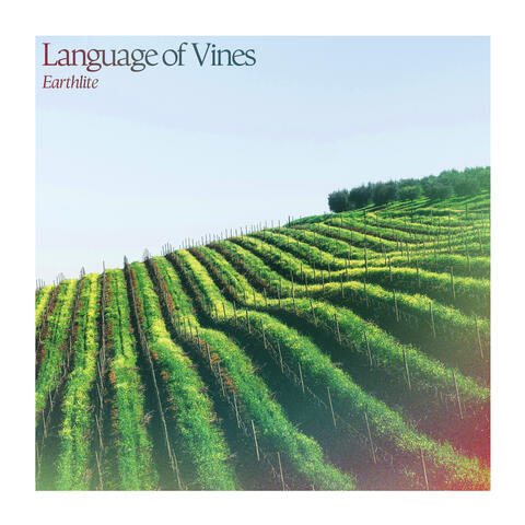 Language of Vines album art