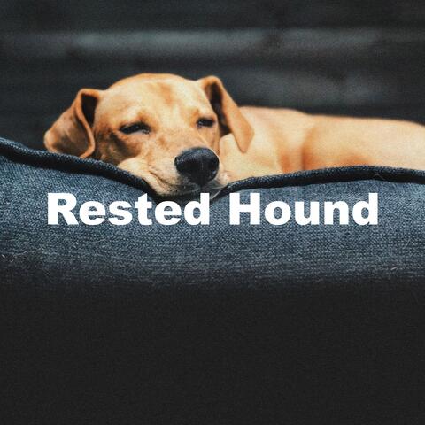 Rested Hound album art
