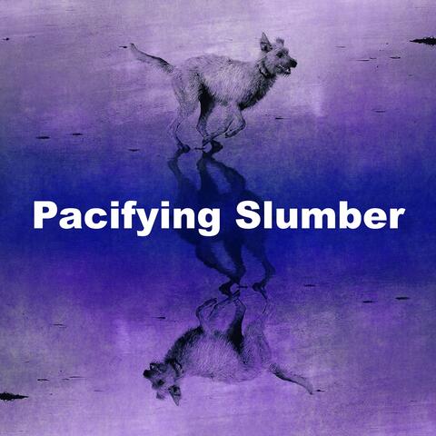Pacifying Slumber album art