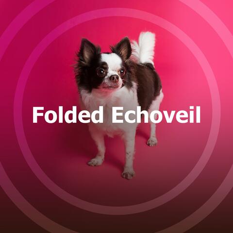 Folded Echoveil album art