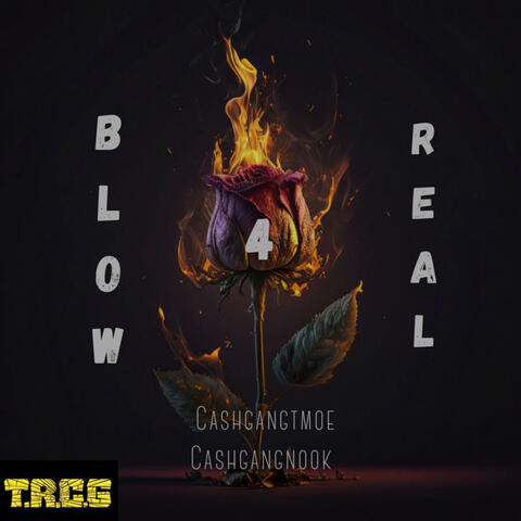 BLOW 4 REAL album art