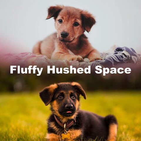 Fluffy Hushed Space album art