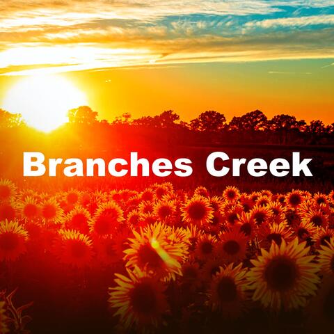 Branches Creek album art