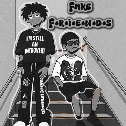 Fake Friends album art